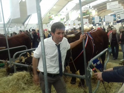 Sommet de l'elevage