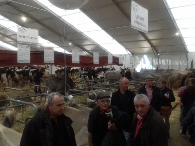 Sommet de l'elevage