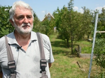 Špargla