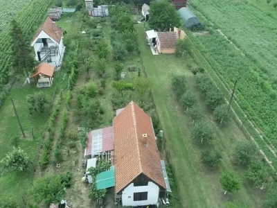 Špargla