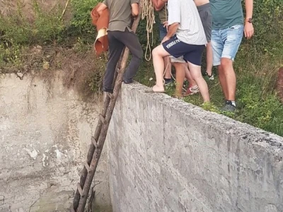 SpaŠavaju i brinu o divljači