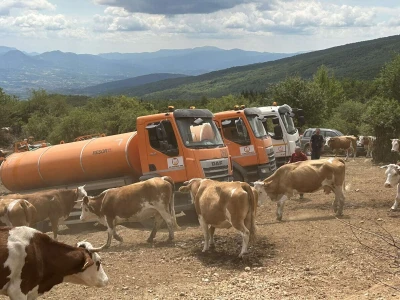 Spasena stoka na Suvoj planini