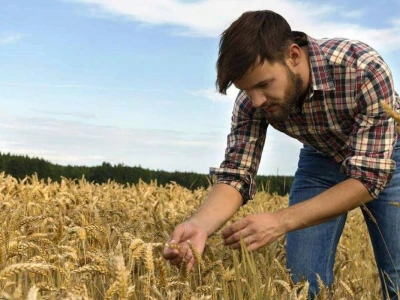 AGROSIRM