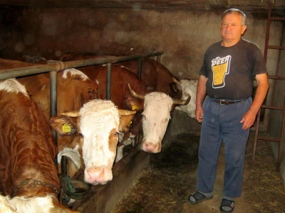 Srđan Mladenović