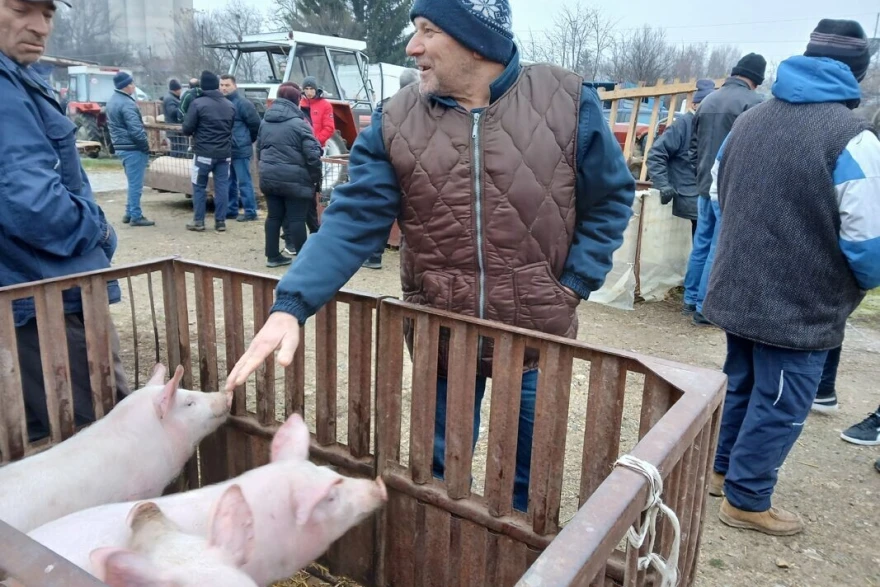 Srđan na pijaci