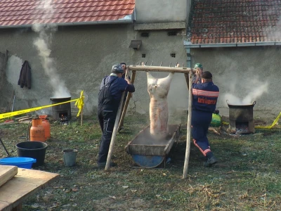 Sremski svinjokolj u Vognju