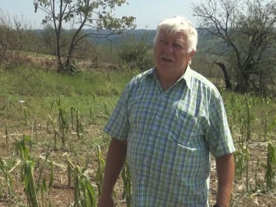 Šteta od grada nemerljiva