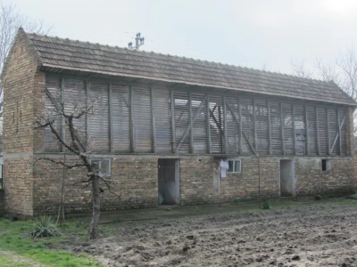 Stočari u Botošu ostali bez pašnjaka