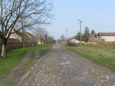 Stočari u Botošu ostali bez pašnjaka