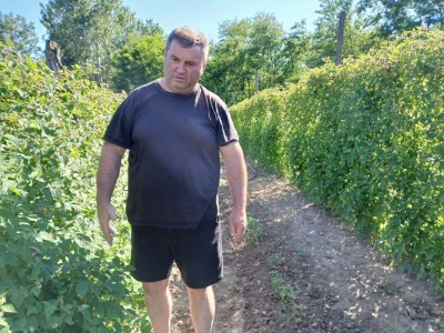 Stošić