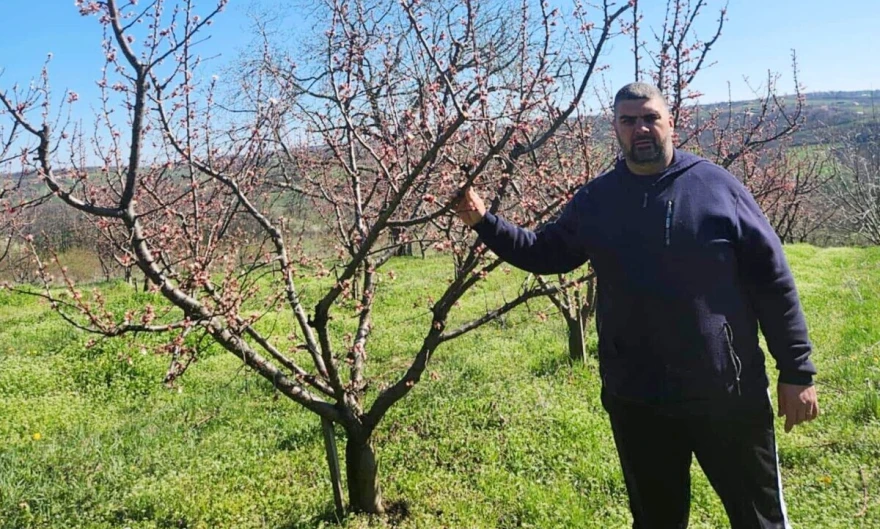 &Scaron;teta na 2, 5 hektara kajsije je totalna
