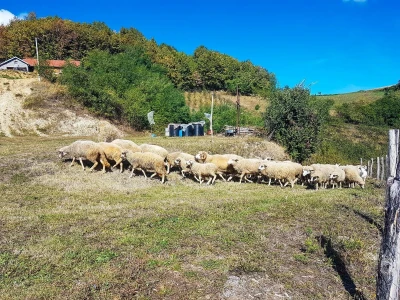 Student građevine, ne odustaje od života na selu