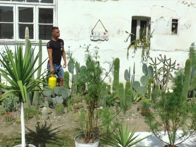 Student hortikulture u bašti uzgaja više od 200 kaktusa