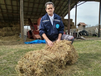 Subvencije za krmna bilja
