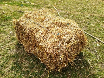 Subvencije za krmna bilja