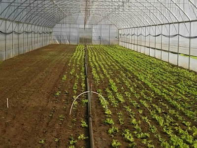Mobilni robotizovani solarni elektrogenerator