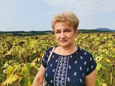 Suncokret će podbaciti, rod soje će biti dobar