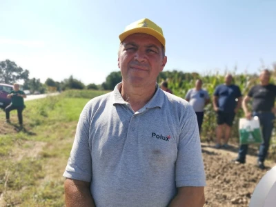 Suncokret će podbaciti, rod soje će biti dobar