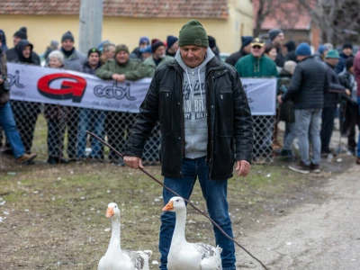 Svetsko prvenstvo u nadmetanju gusana, Mokrin
