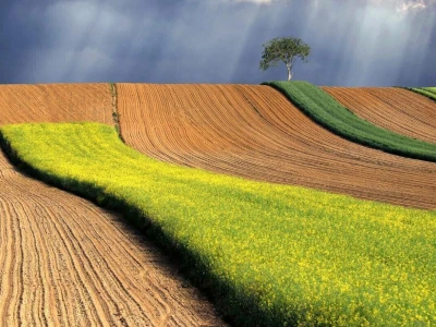 Svih 40 fotografija izbora RuralFoto 2024