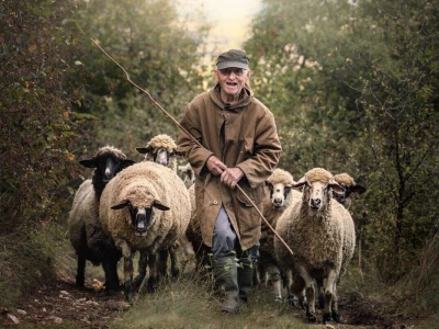 Svih 40 fotografija izbora RuralFoto 2024
