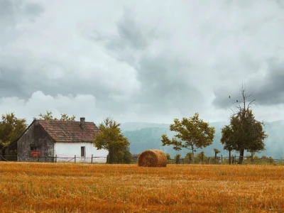 Svih 40 fotografija izbora RuralFoto 2024