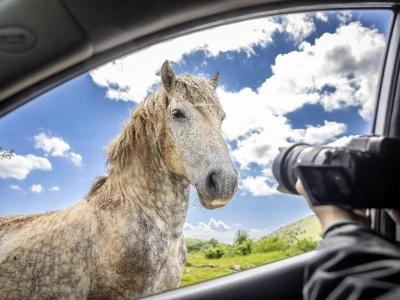 Svih 40 fotografija izbora RuralFoto 2024