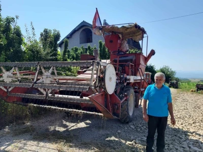 Svinja sa prasićima