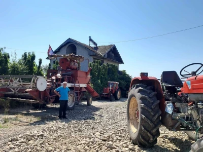 Svinja sa prasićima