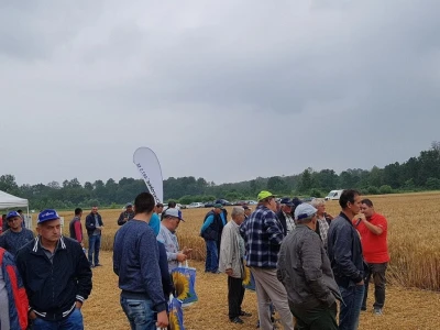 Syngenta Dani polja 2018