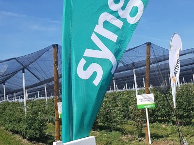 Syngenta Dani polja 2018