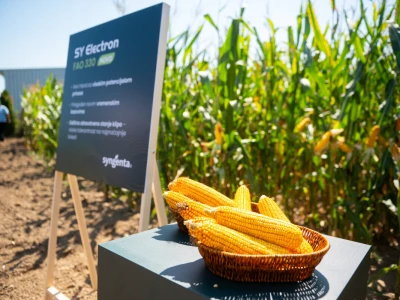 Syngenta Dani polja u Kušiljevu