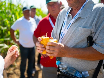 Syngenta Dani polja u Kušiljevu