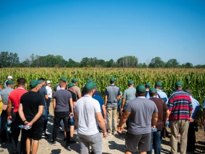 Syngenta Dani polja u Kušiljevu