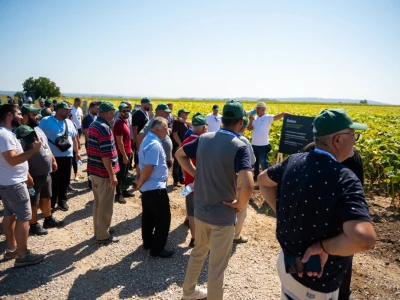 Syngenta Dani polja u Kušiljevu