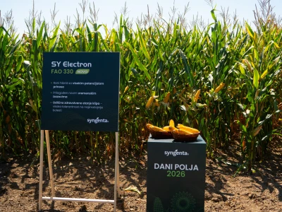 Syngenta Dani polja u Kušiljevu