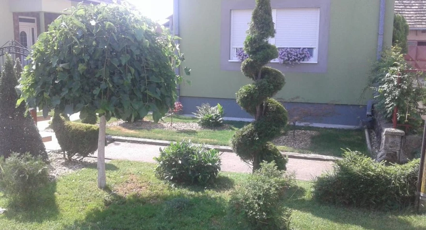 Dvori&scaron;te