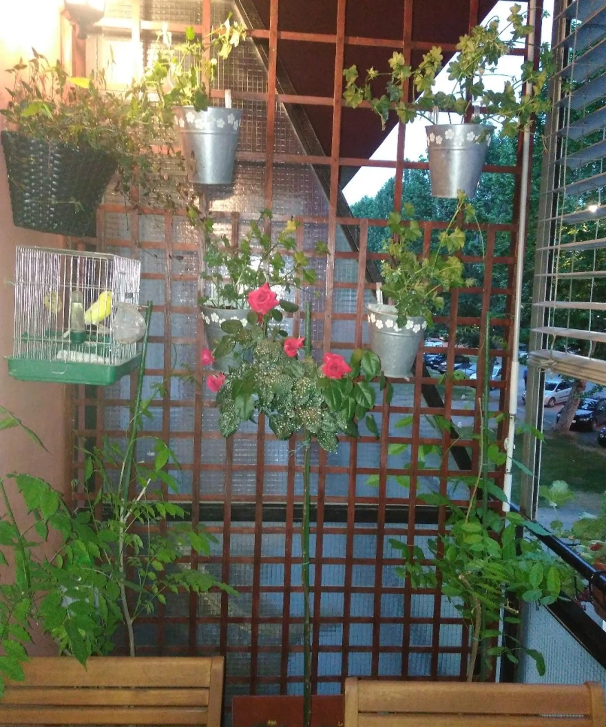Balkon