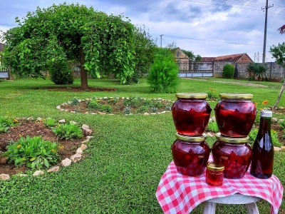 Trešnjevac