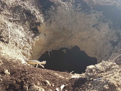 U Loznici i tokom prošle godine, leska najpopularnije voće