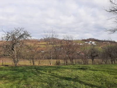 U poljoprivredi uvek ima posla