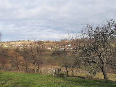 U poljoprivredi uvek ima posla