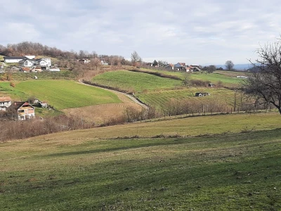 U poljoprivredi uvek ima posla