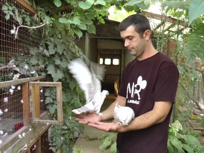 U porodičnom dvorištu napravio mini zoo-vrt