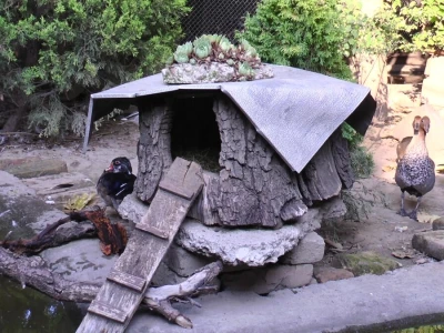 U porodičnom dvorištu napravio mini zoo-vrt