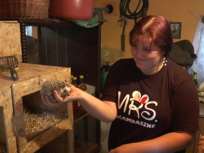 U porodičnom dvorištu napravio mini zoo-vrt