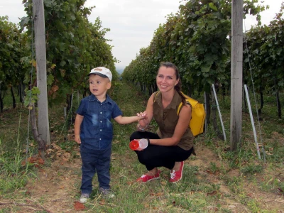 U vinogradu