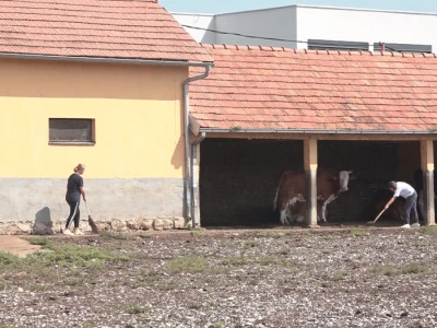 Učenici Poljoprivredne škole iz Valjeva na praksi