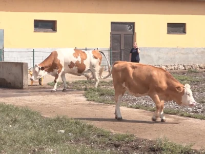 Učenici Poljoprivredne škole iz Valjeva na praksi