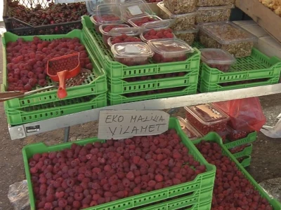 Uklanjanje izdanamka u malinjacima